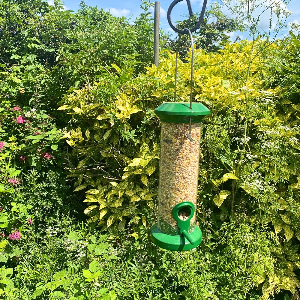 Premium Metal Bird Seed Feeder